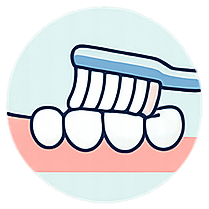 Step 01: Place Brush At Gum Line